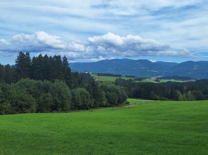 Fotografia z Isabella Peinsold-Klammer na trase