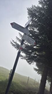 Photo de Nicole Hesse le long du parcours