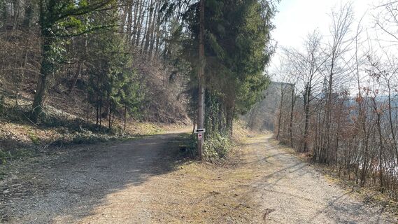 Damberg-Trail - flussaufwärts entlang der Enns