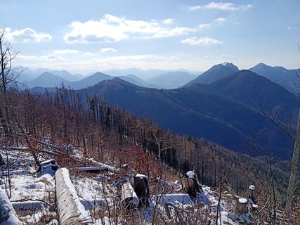 Foto von Wanderkatze entlang der Tour