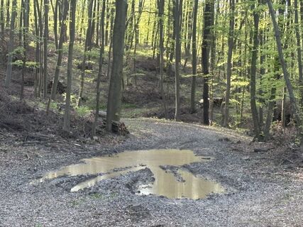 Foto de Reti Alicia a lo largo del recorrido