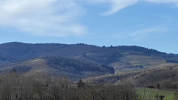 Fotografija s spletne strani Bret Edith na poti