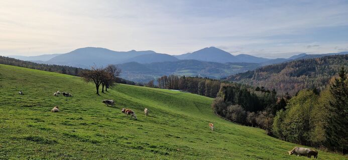 Foto von Utassy Tóth Johanna entlang der Tour