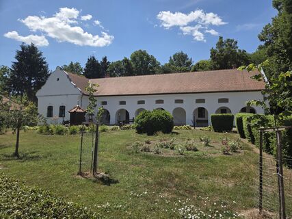 Foto von Dániel Téglás entlang der Tour