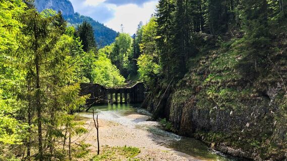 Wildbachsperre am Schafbach