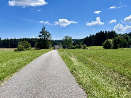 Fotografia z Václav Stejskal na trase