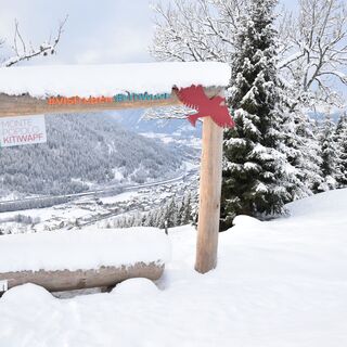 Fotopoint auf dem Weg zur Moosalm