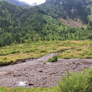 Fotografia z Helga Herbst na trase