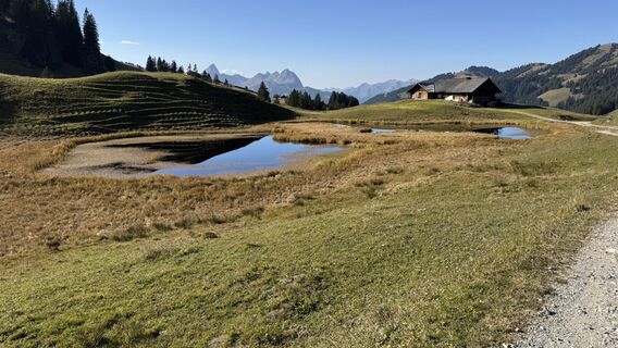 Zdjęcie z peter_oe wzdłuż trasy