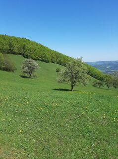 Photo de Oliver Vecera le long du parcours