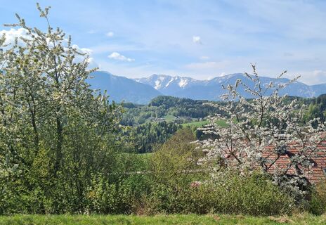 Foto von Friedrich entlang der Tour