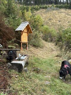 Photo de Brigitta Konrad le long du parcours