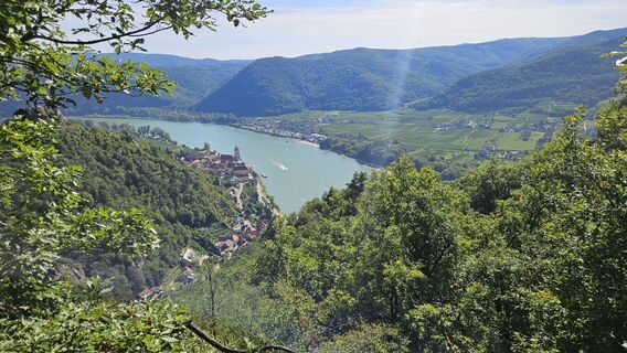 Fotografia z Herbert Lindner 1 na trase