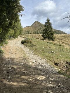 Photo de Lothar le long du parcours
