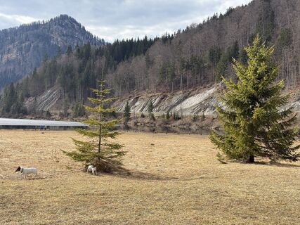 Fotografija s spletne strani Moonlight13 na poti