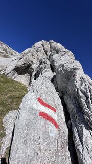 Foto de Mountain Cat ? ⛰️ a lo largo del recorrido