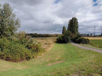 Photo de Stefan Schuhmann le long du parcours