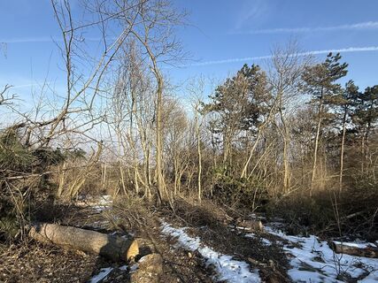 Fotografia z Franz na trase