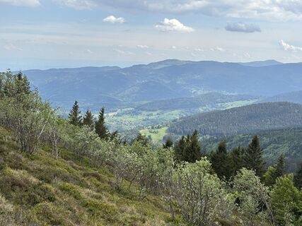 Photo de Jochen Solf le long du parcours