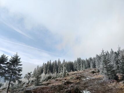 Fotografija s spletne strani Lena Eder na poti