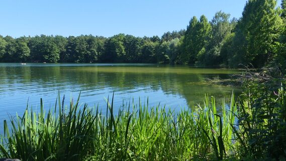 Habichtsee