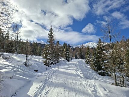 Foto von Jonas Seebacher entlang der Tour