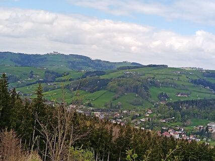 Foto von Wanderkatze entlang der Tour