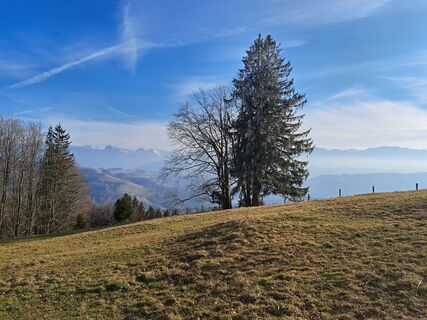 Photo de Rudi le long du parcours