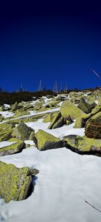 Fotografia z ReginaSt na trase