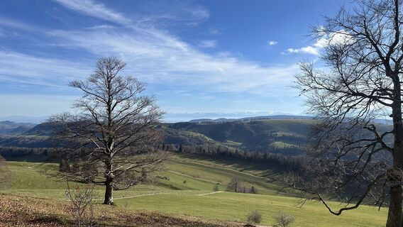 Fotografia z michael lierka na trase