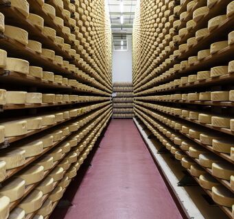 Montasio-Käse