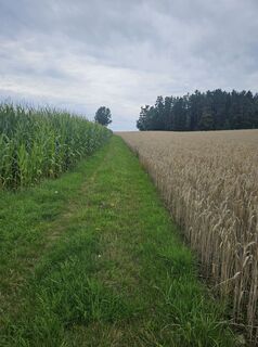 Foto von ElkeA entlang der Tour