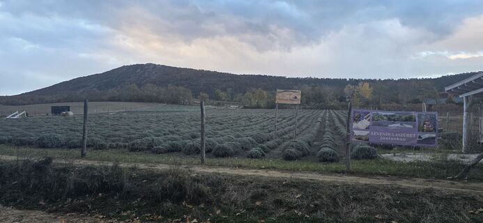 Fotografija s spletne strani Éva Dörflinger na poti