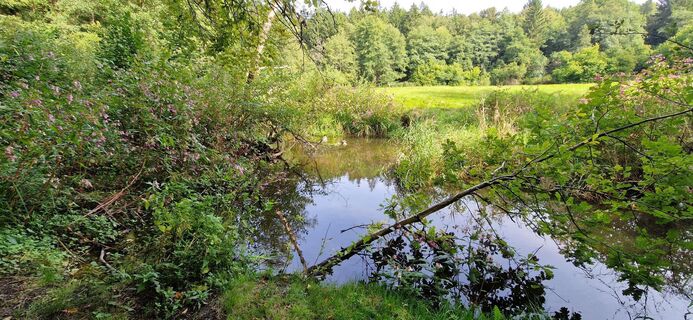 Foto von Zsuzsa Szàntó entlang der Tour