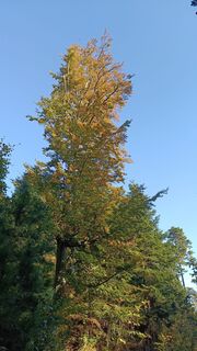 Foto von Bergpirat entlang der Tour