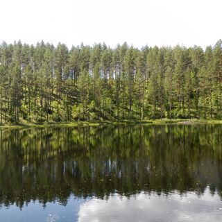 Naturpfad Tolpankangas
