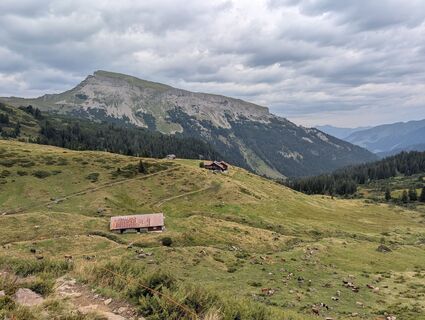Fotografija s spletne strani Arne Schlieder na poti
