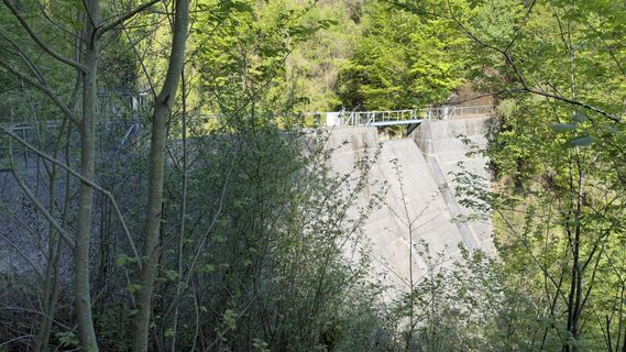 Photo de Peter Burki le long du parcours