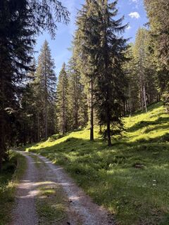 Fotografie z Stucki Sven na trase