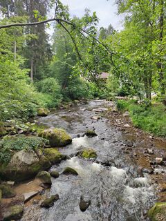 Fotografia z ReginaSt na trase