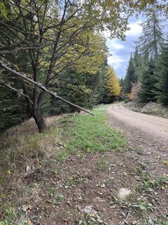 Photo de Reinhard Frewein le long du parcours