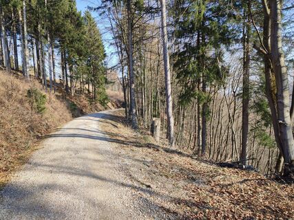 Foto de Stöpsel a lo largo del recorrido