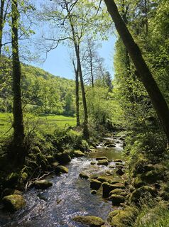 Fotografija s spletne strani Michel Kennel na poti