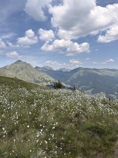 Foto von Irene Thorwartl entlang der Tour