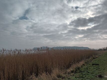 Fotografija s spletne strani Marga na poti
