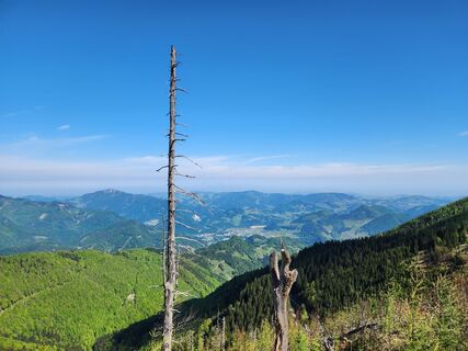 Foto von Petra Riegler entlang der Tour