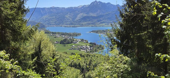 Foto von Elfriede Moessler entlang der Tour