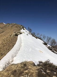 Foto von Karin Strozzi entlang der Tour