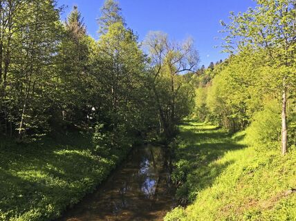 Entlang der Nagold