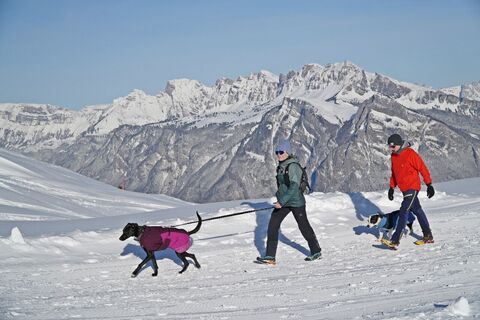Winterwanderweg Pardiel - Laufböden am winterlichen Pizol